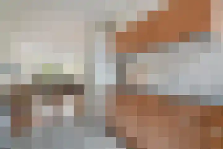 Kubboot 7 Bunschoten-Spakenburg thumbnail 14