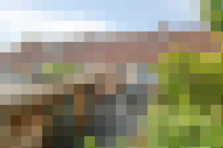 Kubboot 7 Bunschoten-Spakenburg thumbnail 27