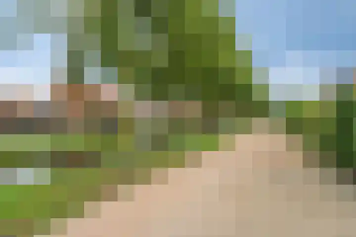 Kubboot 7 Bunschoten-Spakenburg thumbnail 34