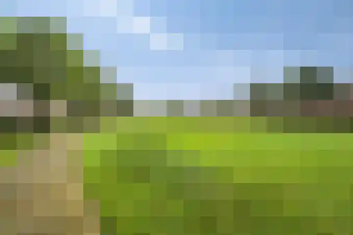 Kubboot 7 Bunschoten-Spakenburg thumbnail 35
