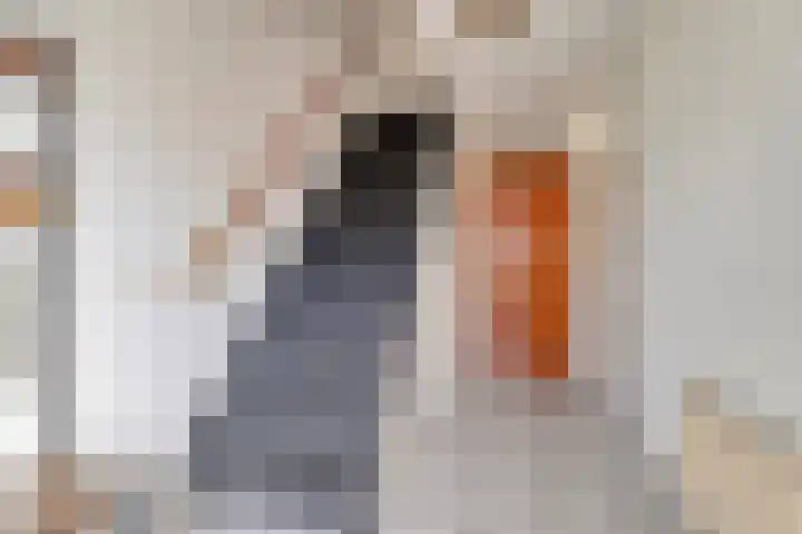 Kubboot 7 Bunschoten-Spakenburg thumbnail 6