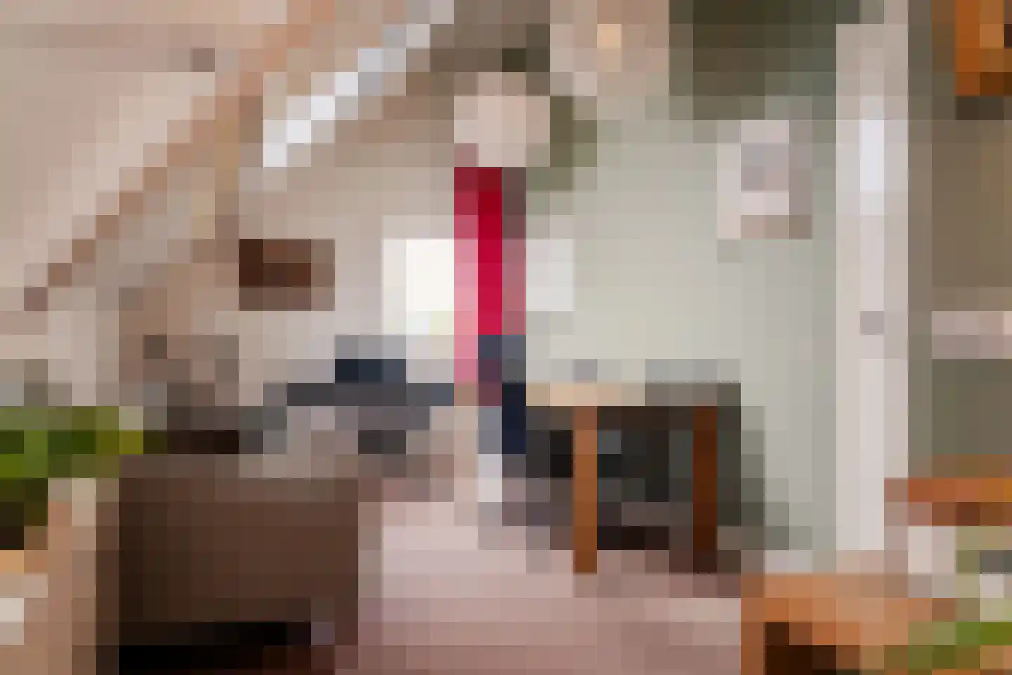 Kudelstaartseweg 200 Kudelstaart thumbnail 54