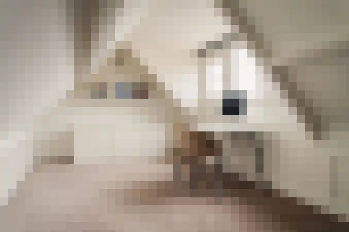 Kudelstaartseweg 200 Kudelstaart thumbnail 61