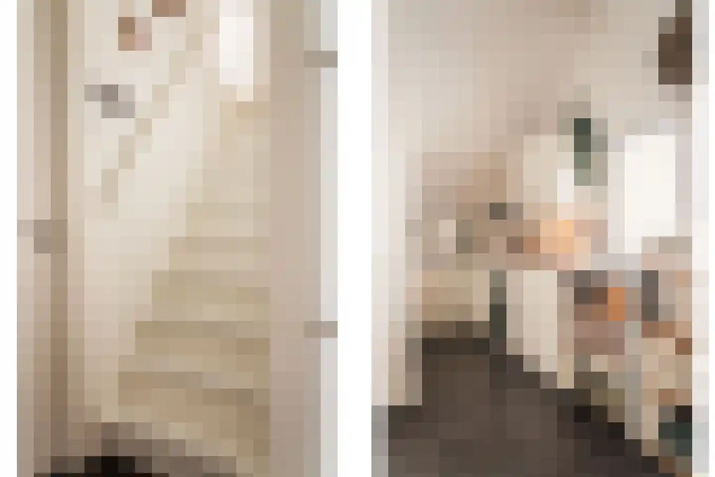 Kudelstaartseweg 200 Kudelstaart thumbnail 67