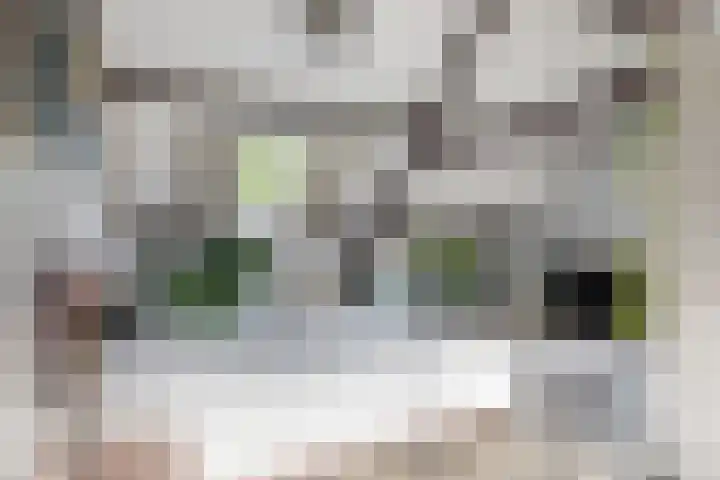 Kudelstaartseweg 203 Kudelstaart thumbnail 13