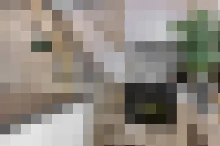 Kudelstaartseweg 203 Kudelstaart thumbnail 8