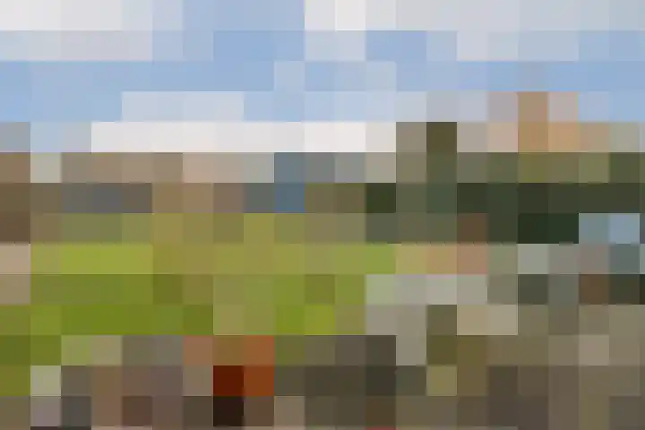 Kudelstaartseweg 205 Kudelstaart thumbnail 17