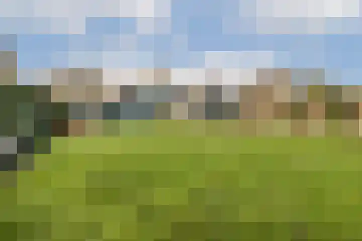 Kudelstaartseweg 205 Kudelstaart thumbnail 19