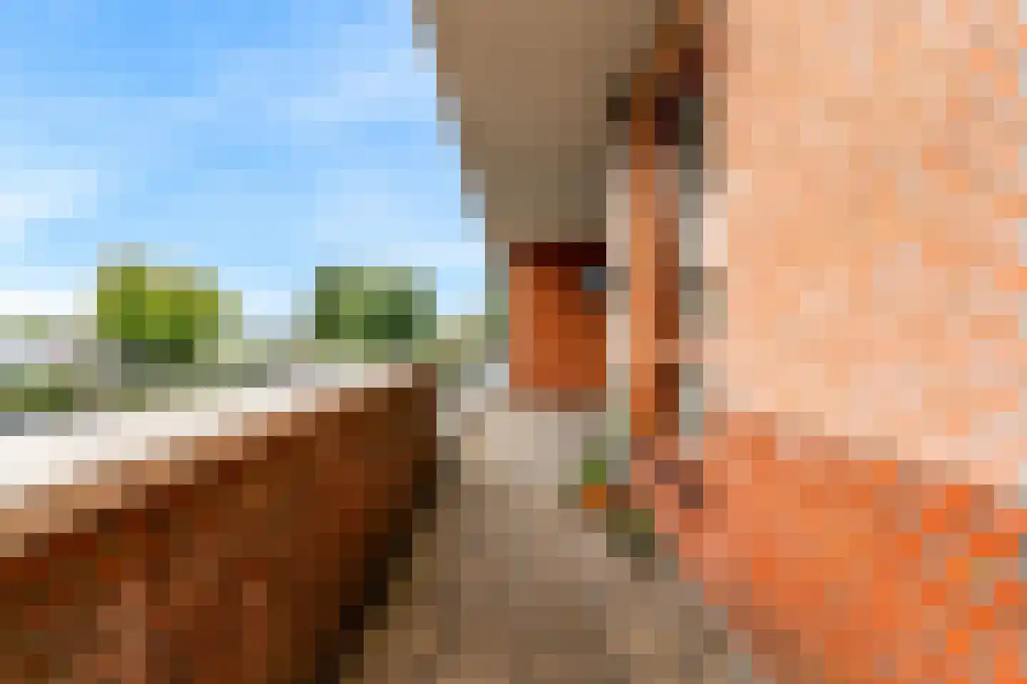 Kudelstaartseweg 254 Kudelstaart thumbnail 22