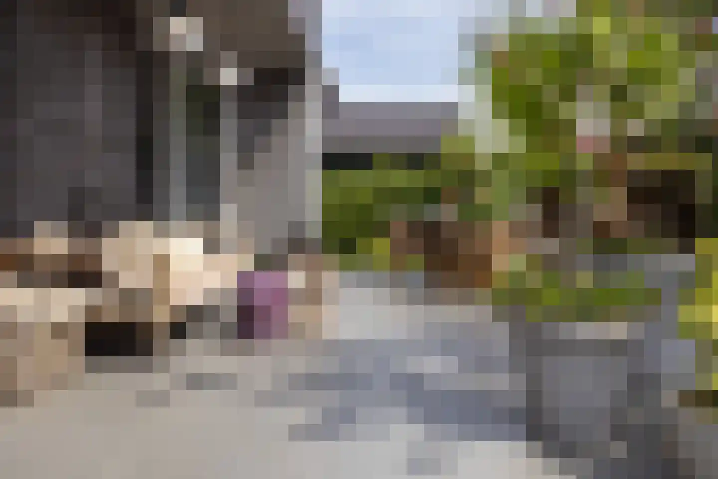 Kudelstaartseweg 283 Kudelstaart thumbnail 16