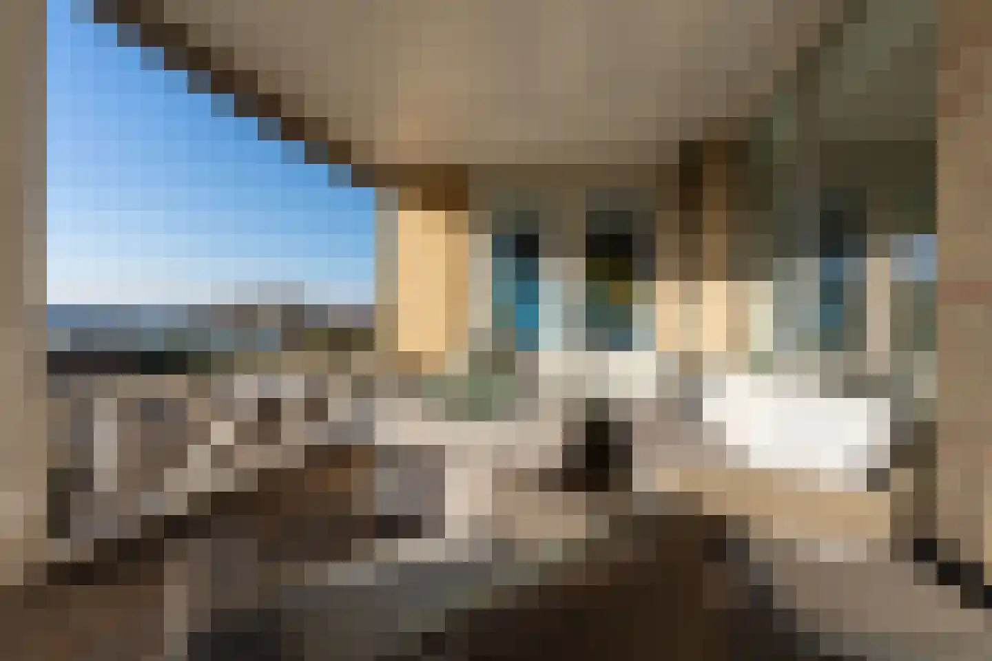 Kudelstaartseweg 34 Aalsmeer thumbnail 37