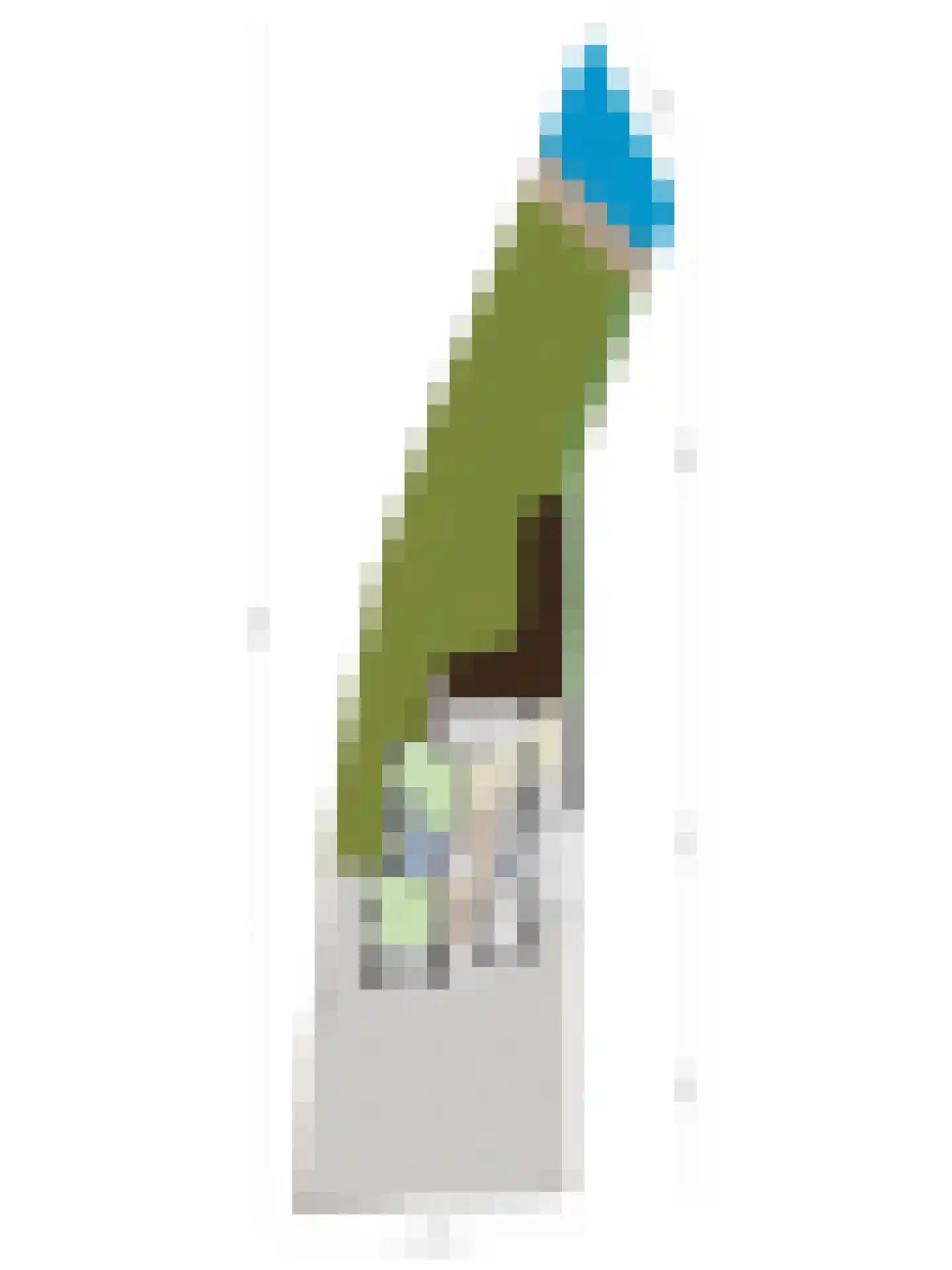 Kudelstaartseweg 34 Aalsmeer thumbnail 46
