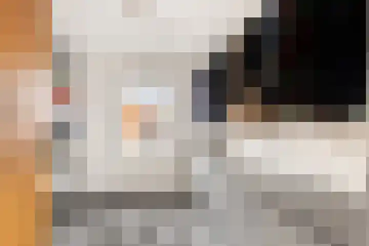 Kuenenplein 14 Beverwijk thumbnail 17