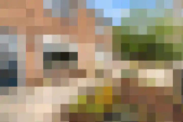 Kuenenplein 14 Beverwijk thumbnail 31