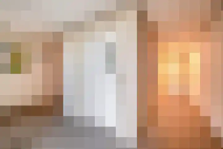 Kuif 18 Wormer thumbnail 10