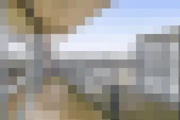 Kuif 18 Wormer thumbnail 19