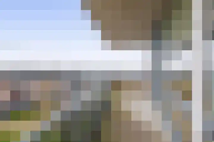 Kuif 18 Wormer thumbnail 20