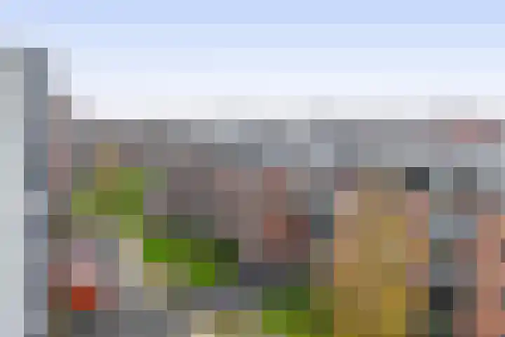 Kuif 18 Wormer thumbnail 37
