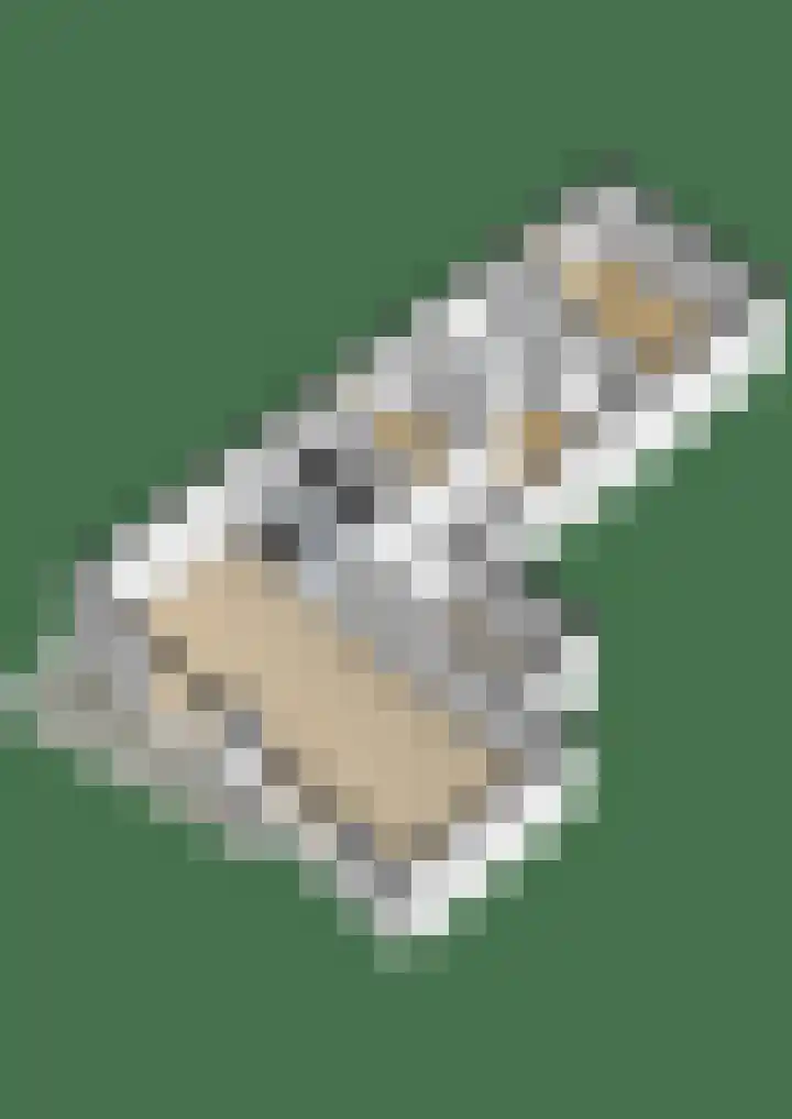 Kuif 18 Wormer thumbnail 39