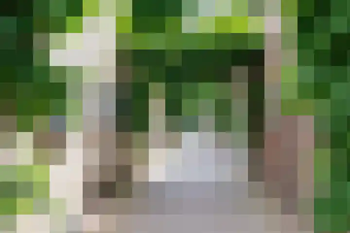 Kuif 18 Wormer thumbnail 4