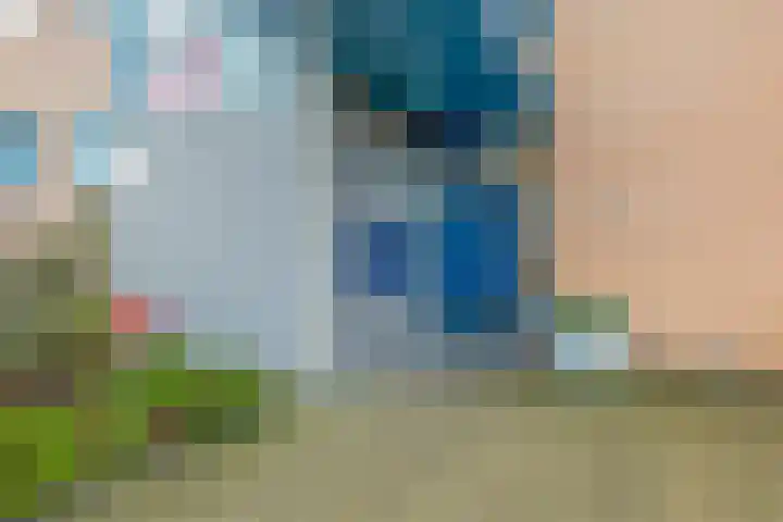Kuif 18 Wormer thumbnail 8