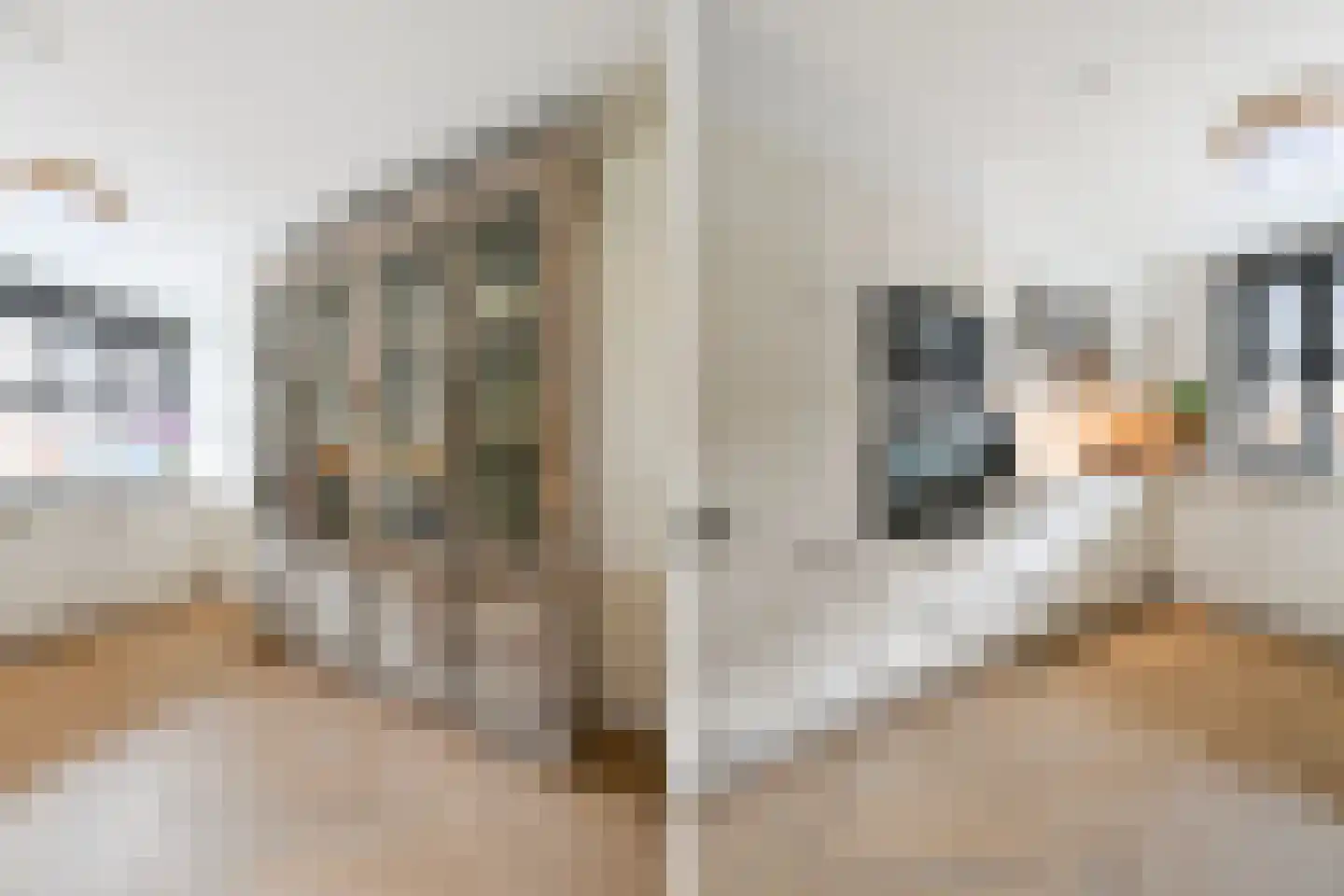 Kuifduikerstraat 11 Den Haag thumbnail 9