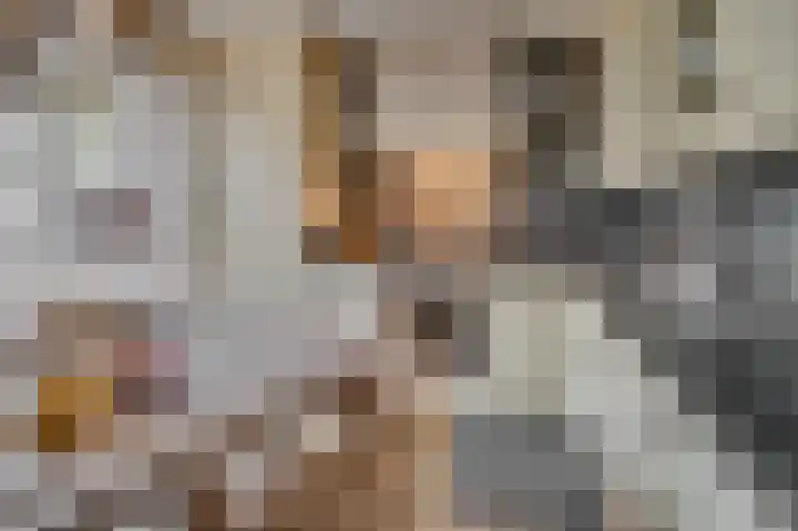 Kuifduikerstraat 23 Venlo thumbnail 7