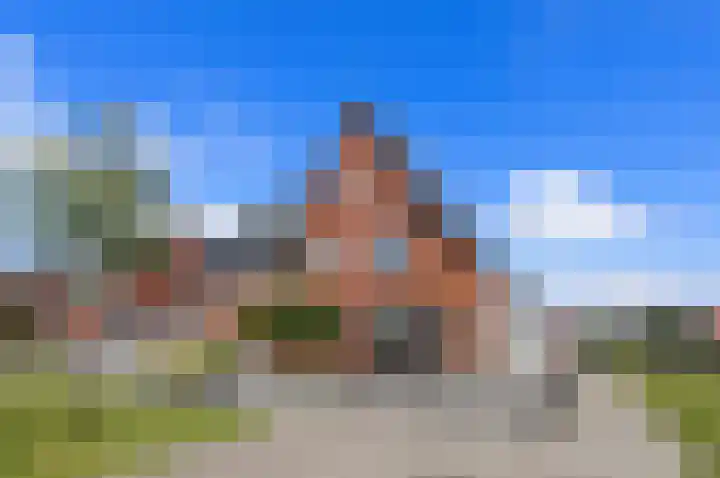 Kuifeend 1 Bedum