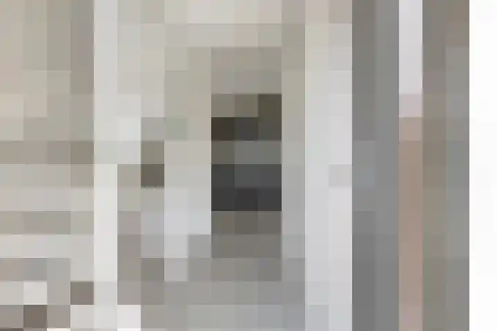 Kuifeend 1 Bedum thumbnail 10