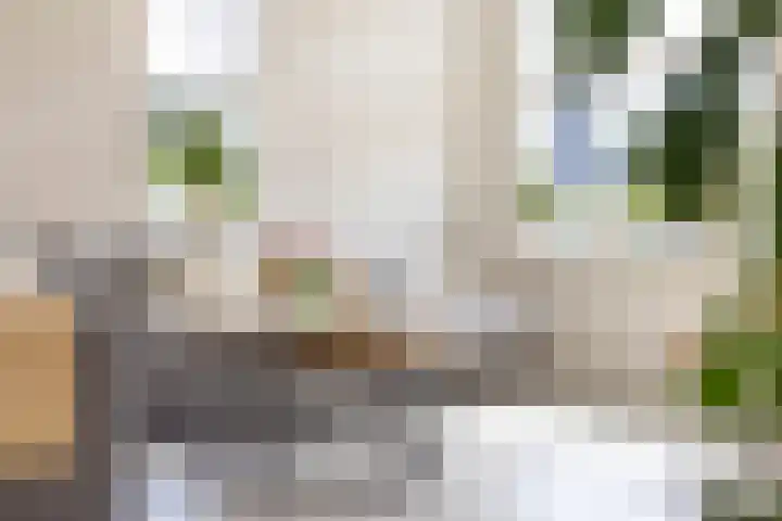 Kuifeend 1 Bedum thumbnail 12