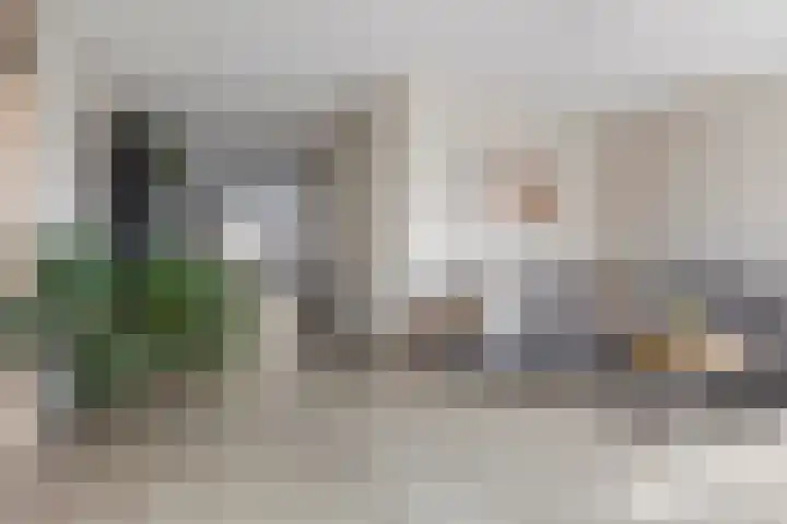 Kuifeend 1 Bedum thumbnail 14