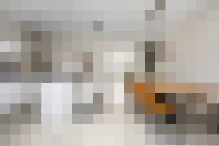 Kuifeend 1 Bedum thumbnail 18