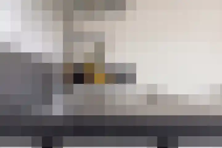 Kuifeend 1 Bedum thumbnail 22