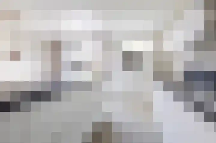 Kuifeend 1 Bedum thumbnail 23