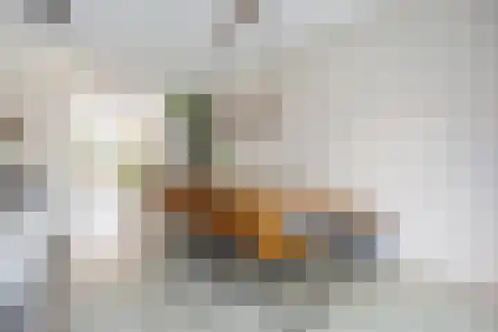 Kuifeend 1 Bedum thumbnail 24