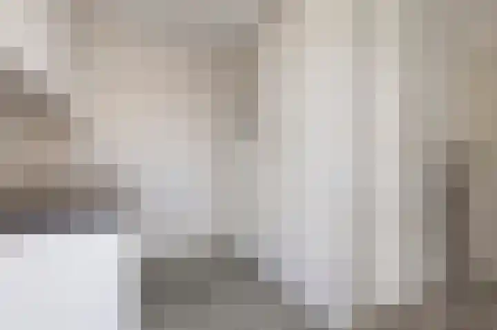 Kuifeend 1 Bedum thumbnail 25