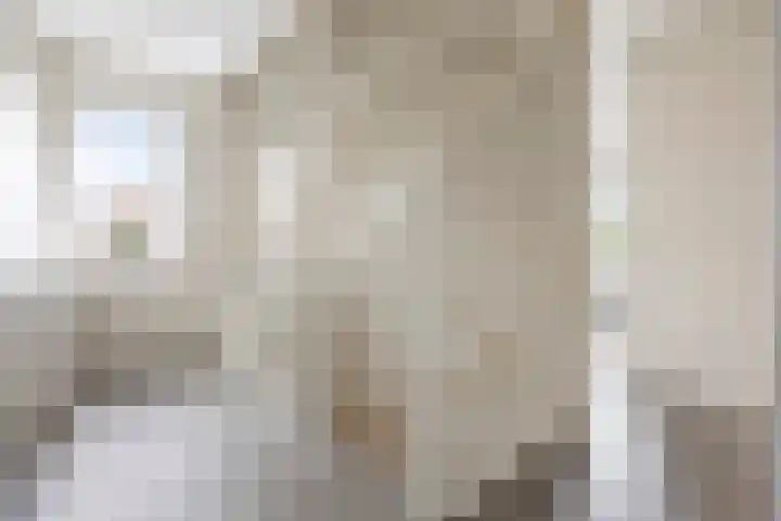 Kuifeend 1 Bedum thumbnail 26