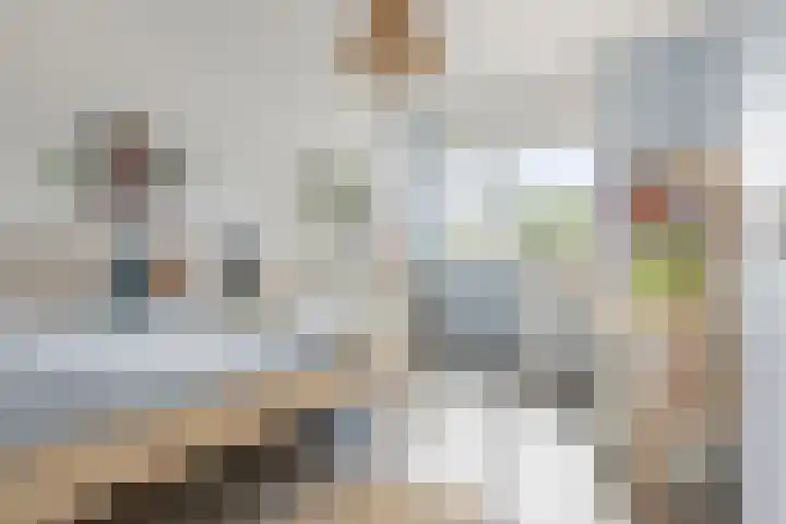 Kuifeend 1 Bedum thumbnail 29
