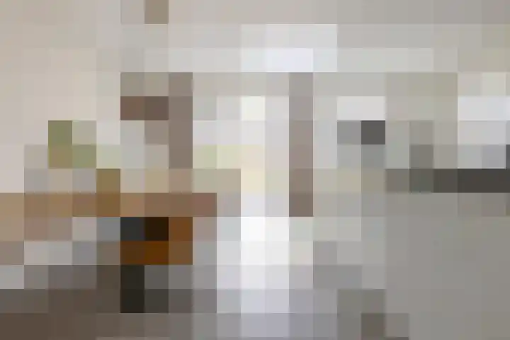 Kuifeend 1 Bedum foto 3