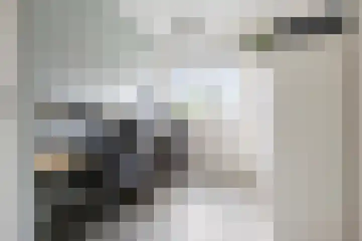 Kuifeend 1 Bedum thumbnail 30