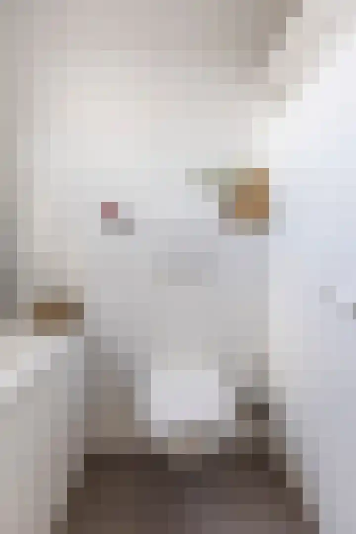 Kuifeend 1 Bedum thumbnail 32