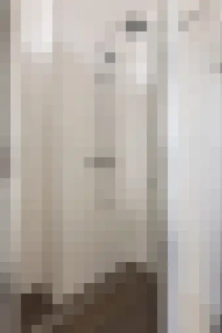 Kuifeend 1 Bedum thumbnail 33