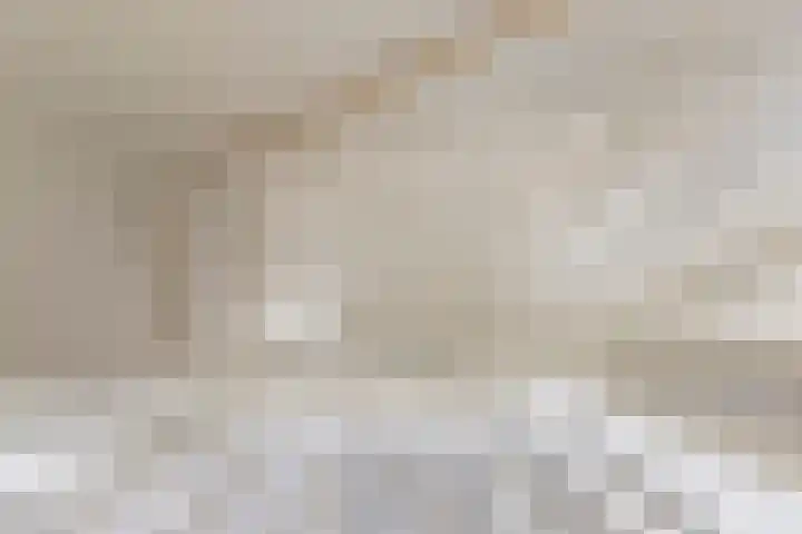 Kuifeend 1 Bedum thumbnail 35