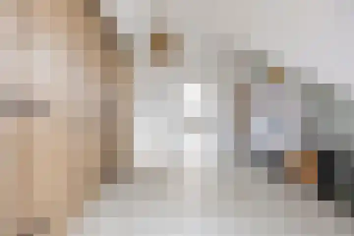 Kuifeend 1 Bedum thumbnail 36