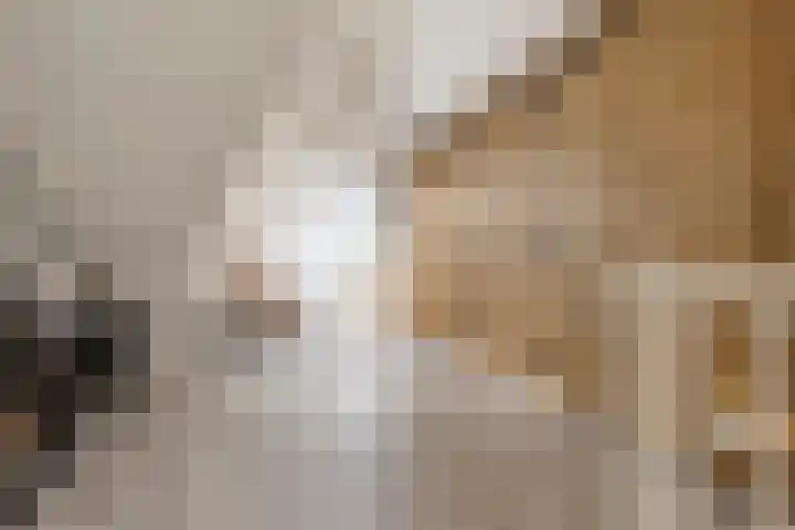 Kuifeend 1 Bedum thumbnail 37