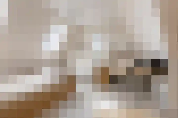 Kuifeend 1 Bedum thumbnail 38