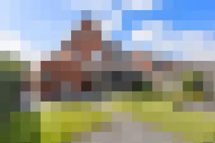 Kuifeend 1 Bedum thumbnail 43