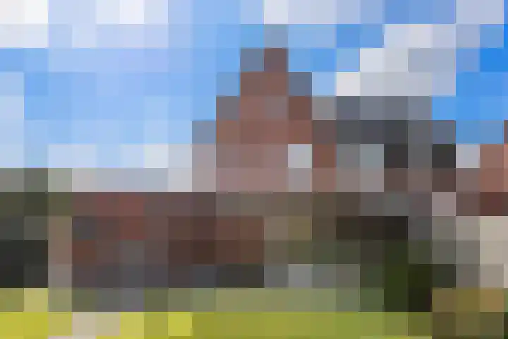 Kuifeend 1 Bedum thumbnail 44
