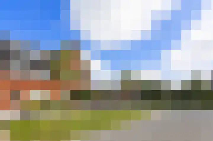 Kuifeend 1 Bedum thumbnail 45