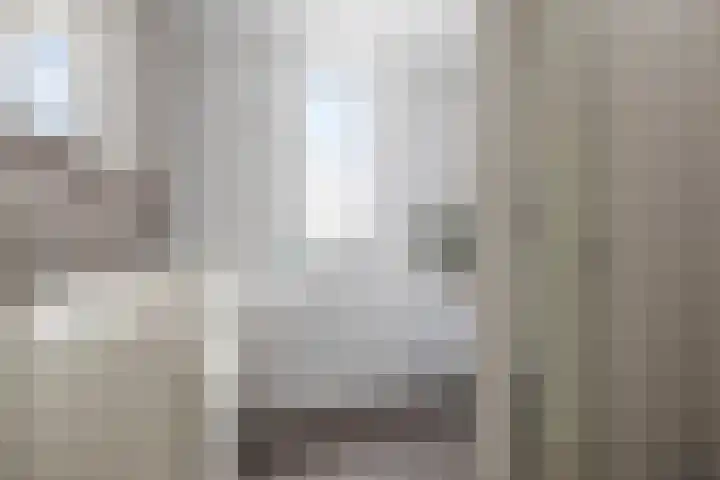 Kuifeend 1 Bedum thumbnail 5
